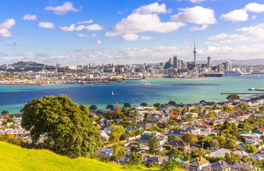 Hall Chadwick cements Auckland expansion